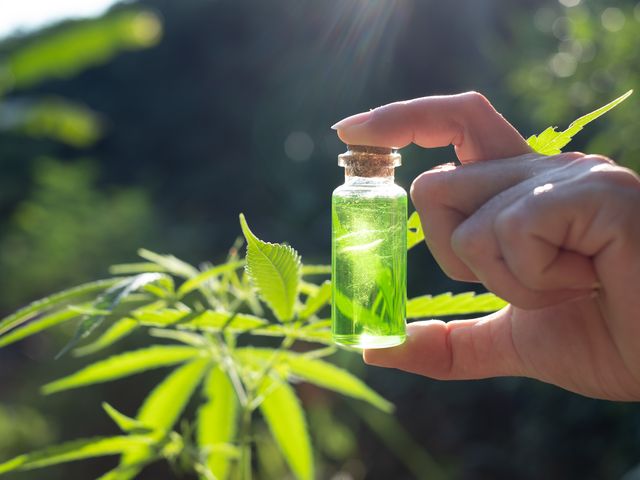 Relationship Between CBD and Addiction